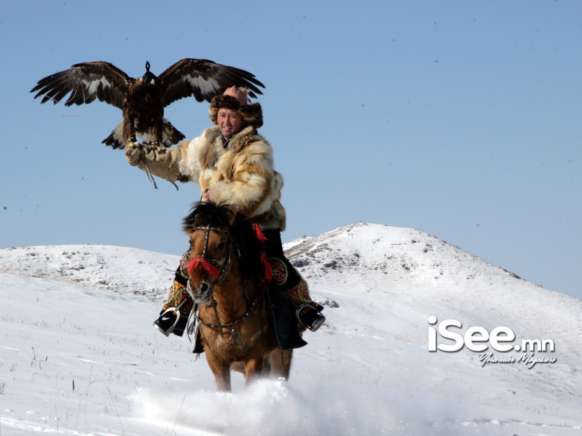 Бүргэдийн баяр энэ амралтын өдрүүдэд болно