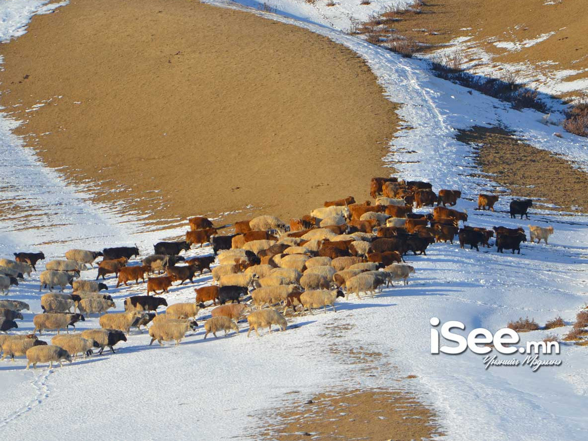  IV, V, VI саруудад ихэнх нутгаар олон жилийн дунджаас дулаан байх төлөвтэй байна