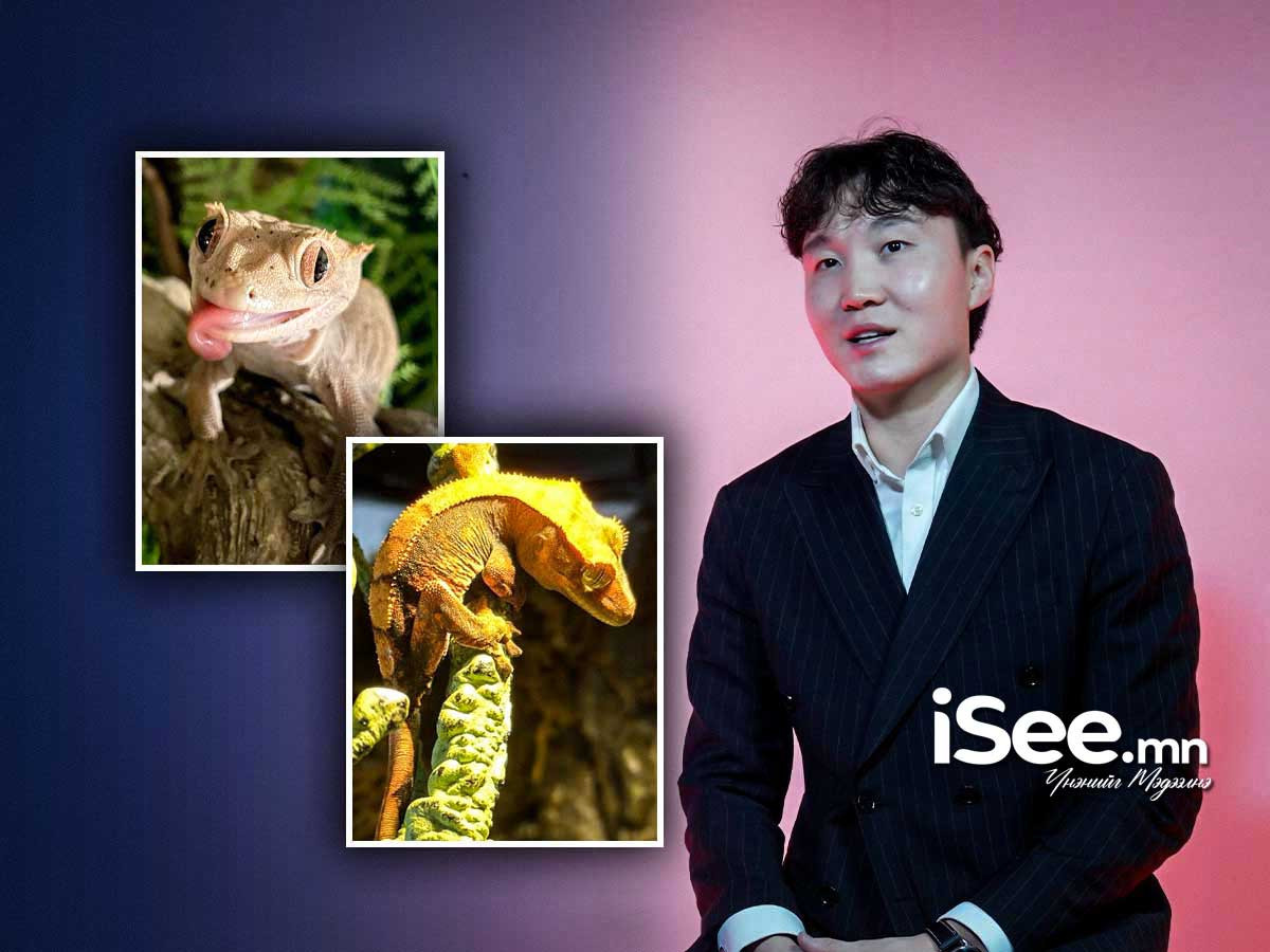 Комедиан М.Баяржаргал: Анх хүчээр шахуу гүрвэл тэжээсэн ч тэд маань одоо надад "хөөрхөн" харагддаг болсон