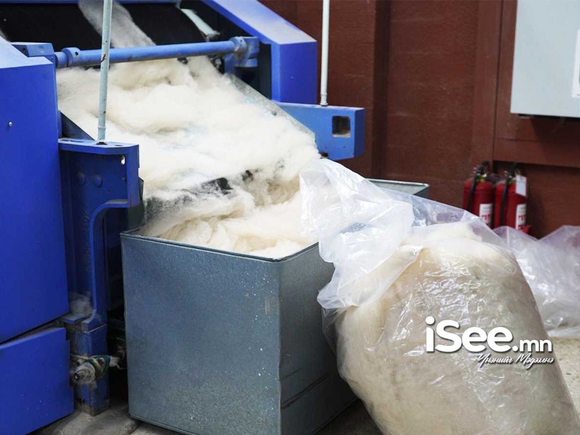 "Ноолуурын үйлдвэрлэлийг дэмжих тухай" Засгийн газрын тогтоол батлагдлаа