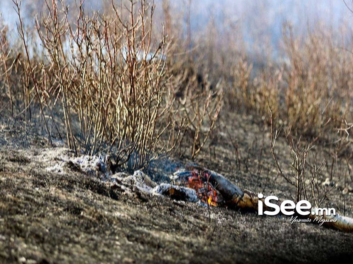 Хэнтий аймагт гарсан хээрийн түймэрт хоёр га талбай шатжээ