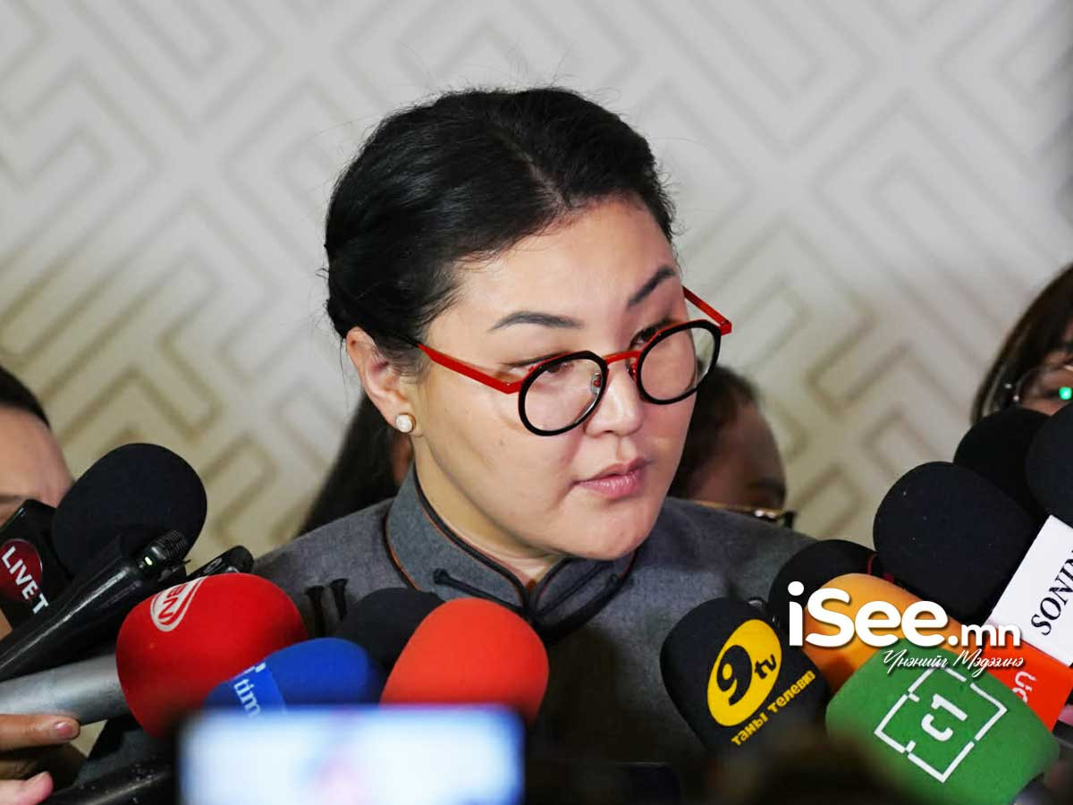 Э.Болормаа: Надад хилийн хориг тавих хэмжээний асуудал биш байсан