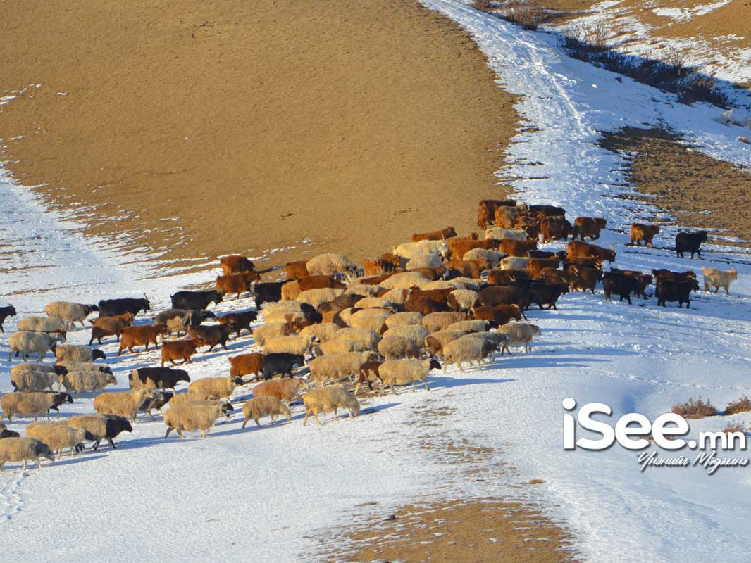 Өнөөдөр нутгийн баруун хэсгээр, маргаашаас ихэнх нутгаар дулаарна 