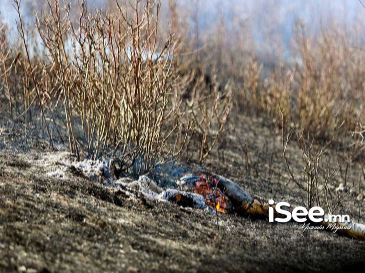 Сэлэнгэ, Ховд аймагт гарсан ой, хээрийн түймрийг унтраахаар алба хаагчид ажиллаж байна