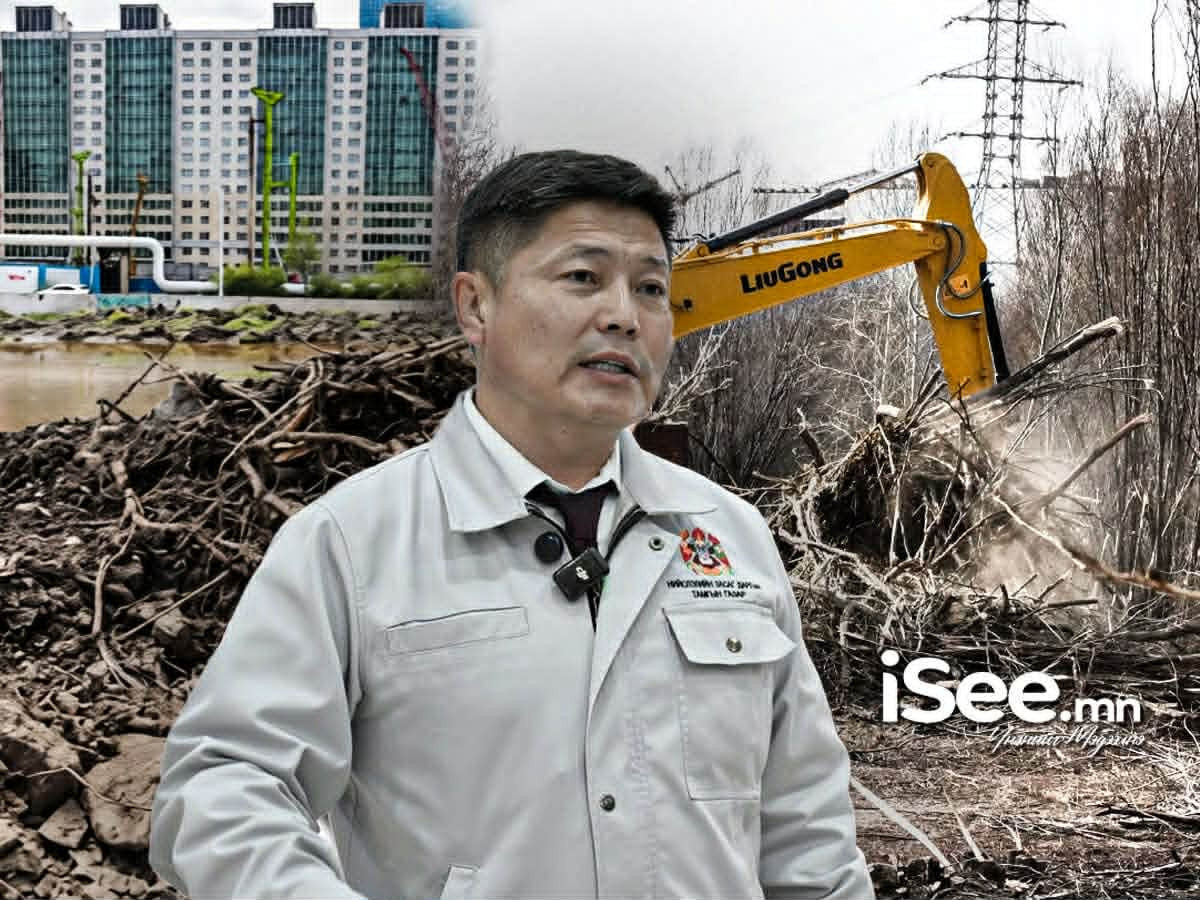 Туулын хурдны зам барих ажил дууссаны дараа нөхөн сэргээлт хийнэ гэсэн ч Хотын даргын урагшгүй төслүүдийн хор уршиг “Дунд голын сураггүй одсон бургас"-наас эхлээд илхэн байна