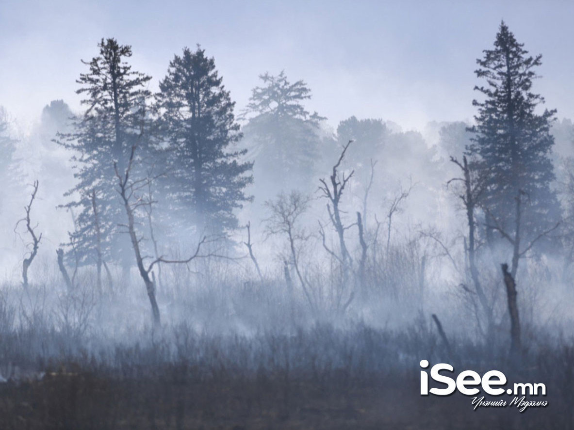Хөвсгөл аймагт гарсан ойн түймрийг цурамд оруулсан бол Сүхбаатар аймагт гарсан хээрийн түймрийг бүрэн унтраажээ
