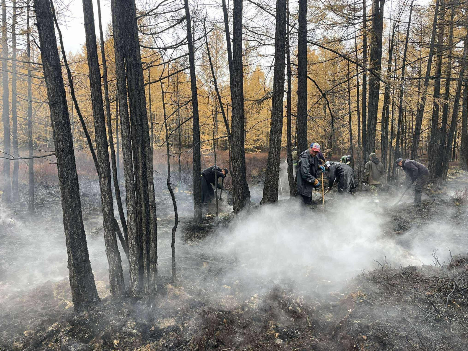 Хөвсгөл аймагт гарсан ойн түймрийг бүрэн унтраажээ