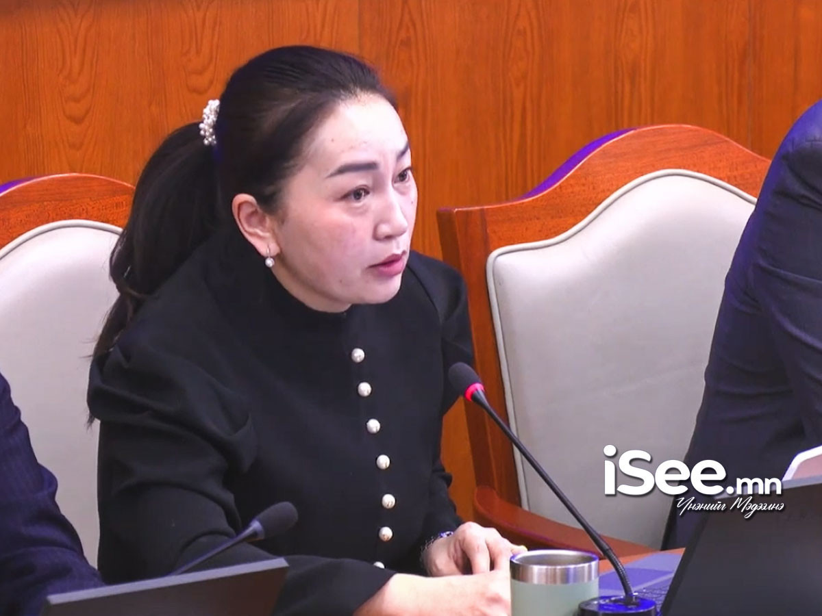  Х.Булгантуяа: Цөөн хэдэн төсөлд зориулж хууль батлах шаардлагагүй 