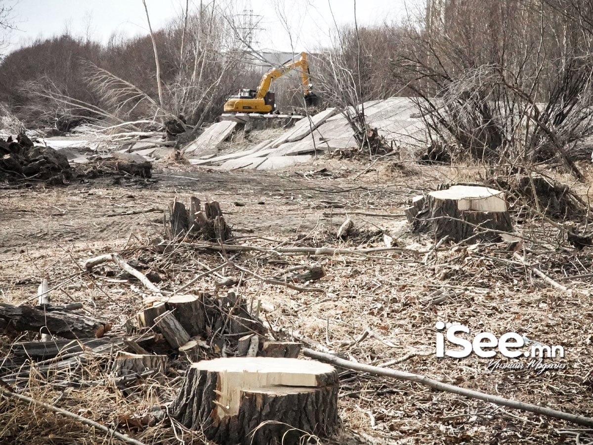 БАРИМТ: "Туулын хурдны зам"-ыг барихын тулд 1 тэрбум төгрөгийн үнэлгээтэй бургас, улиасыг "хядна" гэж БОТБҮА-ын тайланд тусгажээ