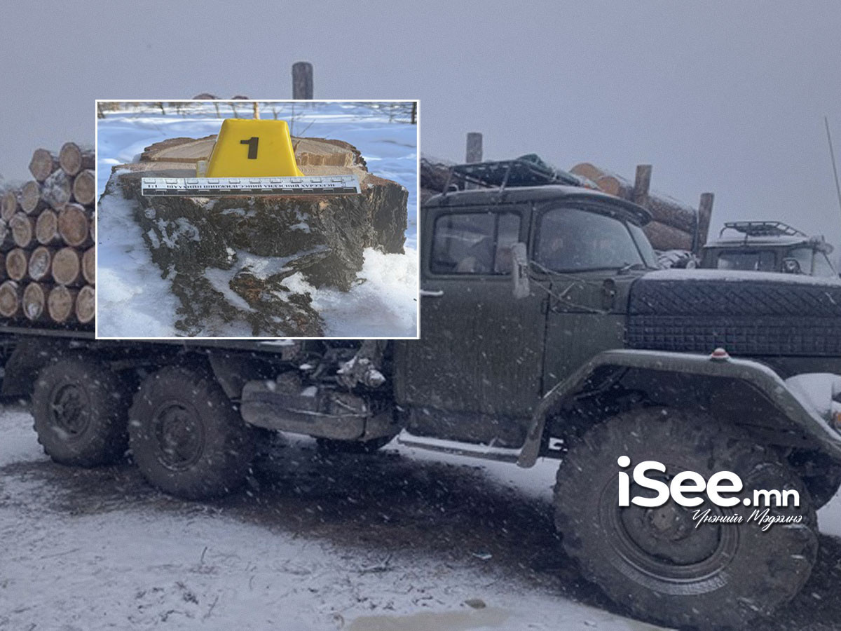 Хууль бусаар мод бэлтгэсэн хэргийг шалгаж дуусжээ