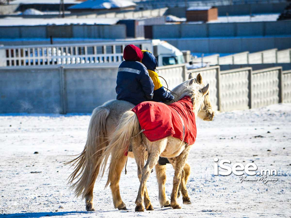 “Дүнжингарав-2026” хаврын хурдан морины уралдаан ирэх сарын 1-нд болно