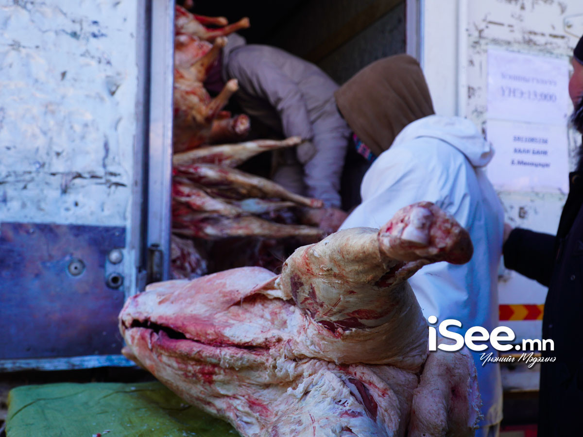 Нийслэлийн есөн дүүрэгт 386 цэгээр нөөцийн махыг худалдаалж байна