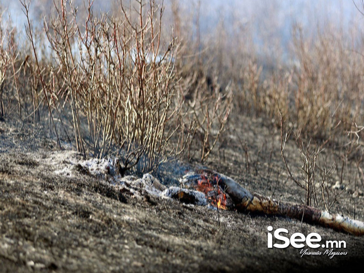 Архангайн Жаргалант суманд ой, хээрийн түймэрт 35 га талбай өртжээ
