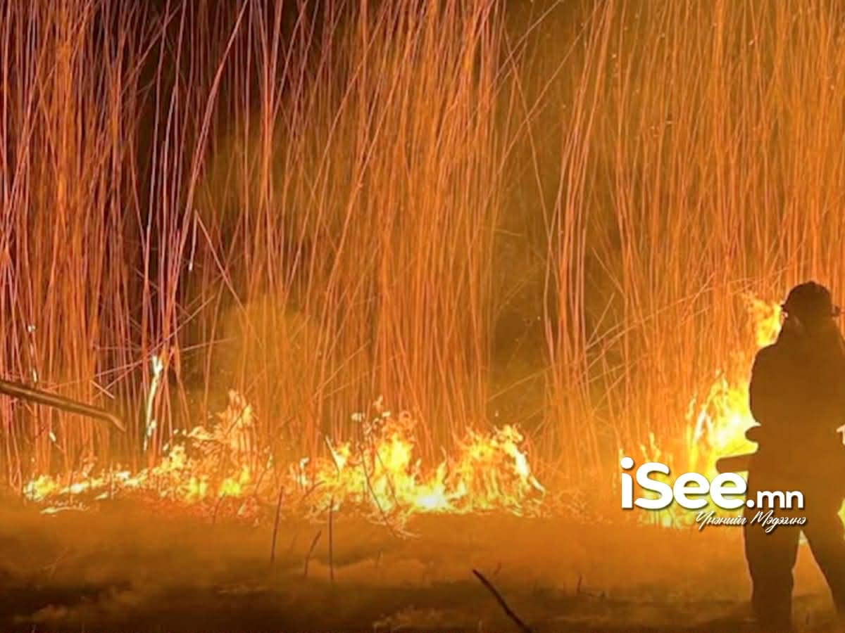 СЭРЭМЖЛҮҮЛЭГ: Хээрийн түймэрт өртөж амь насаа алдсан иргэн түймрийн үед  салхины чиг өөрчлөгдсөнөөс болж галаас гарч чадаагүй байна