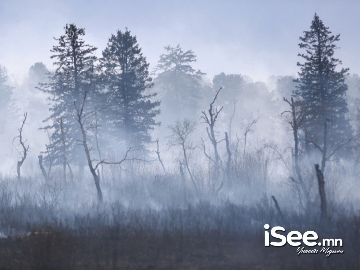 Дорнод аймагт гарсан хээрийн түймрийг цурманд оруулж, бүрэн унтраахаар ажиллаж байна