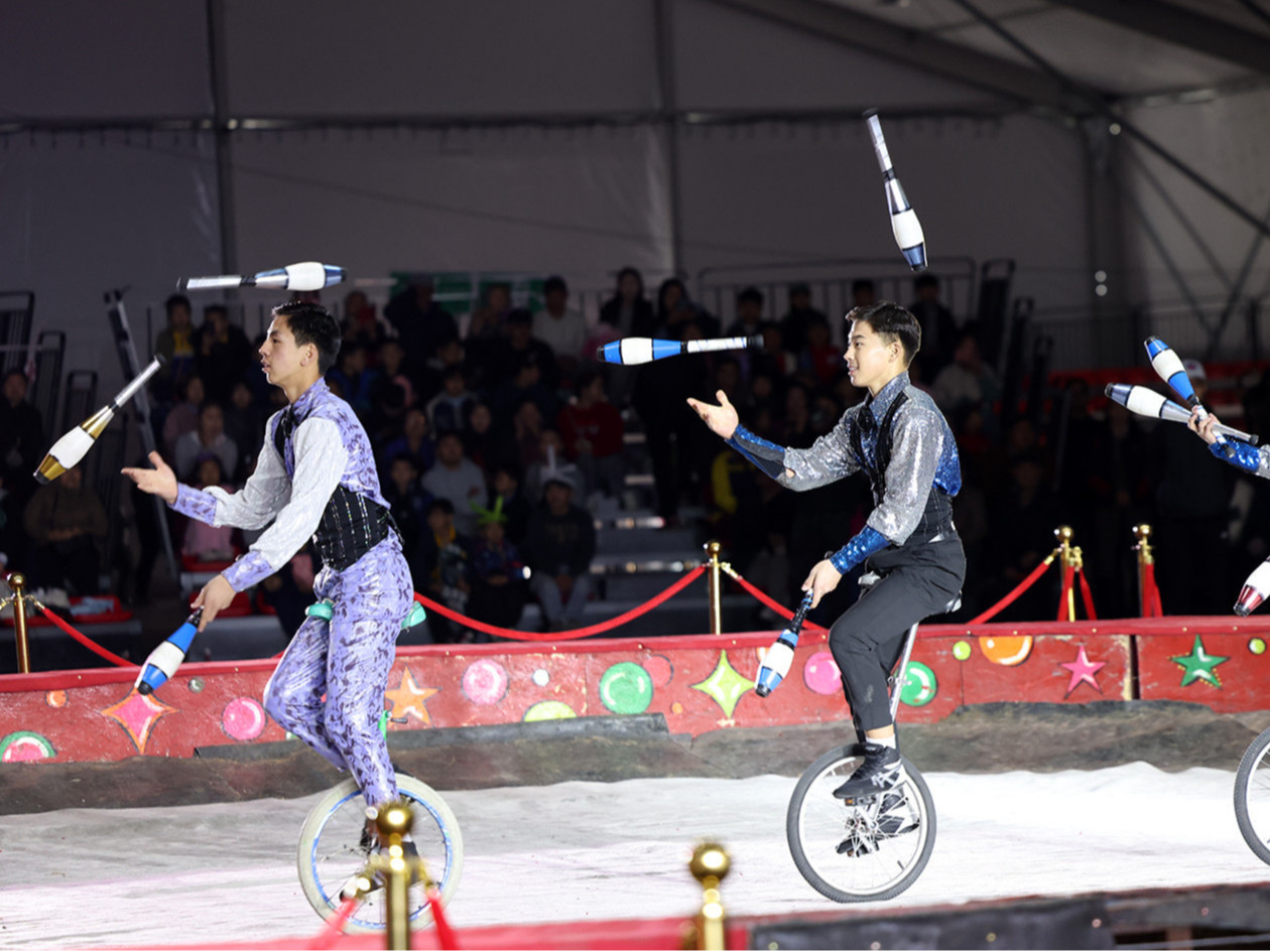 Монголын циркчид Сүхбаатарын талбайд үнэ төлбөргүй тоглолт зохион байгуулна 