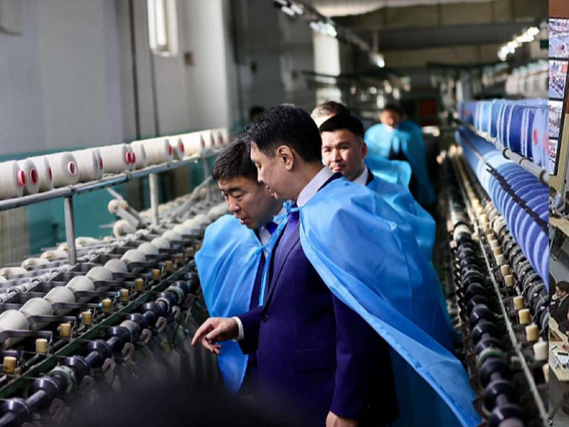 "Цагаан алт” хөтөлбөрийн хүрээнд ноос, ноолуурын үйлдвэрлэл нэмэгджээ