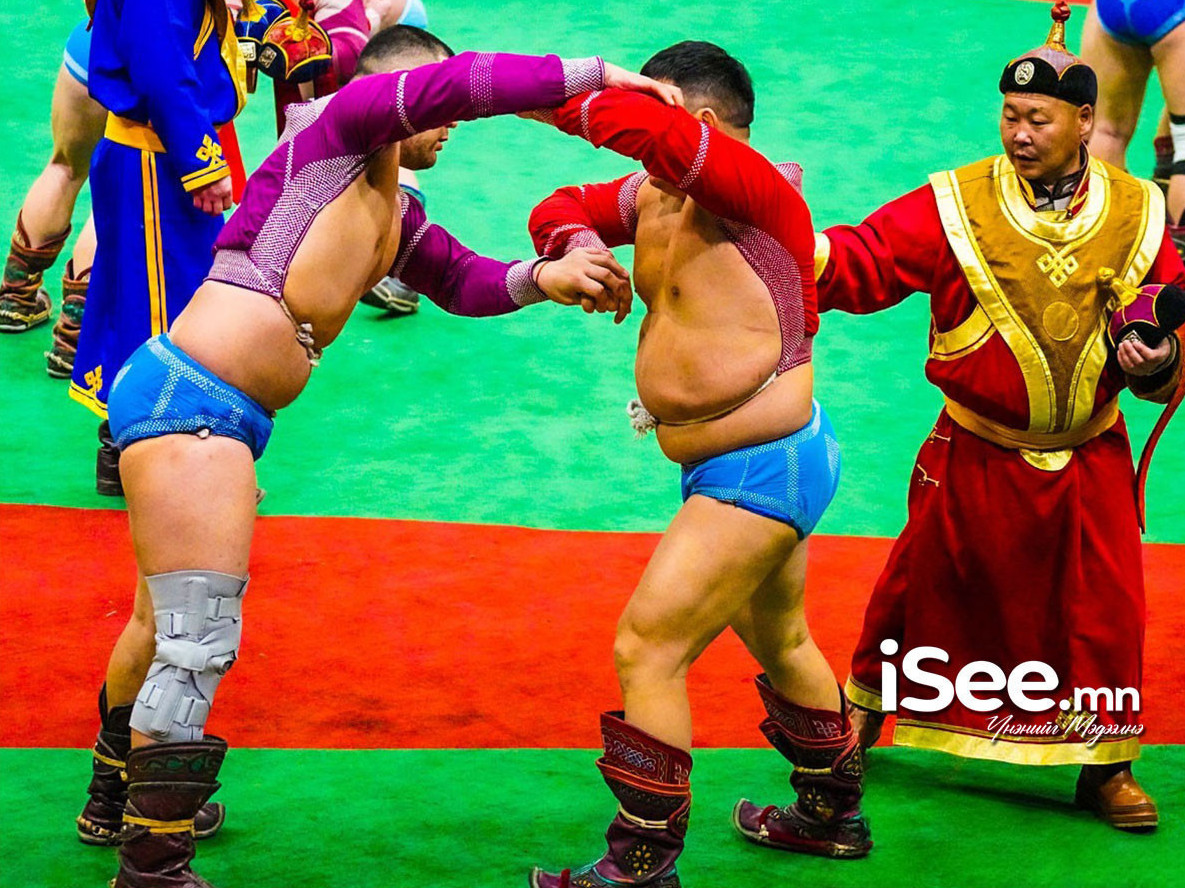 "Алтан цом"-ын хагас шигшээ барилдаан маргааш болно