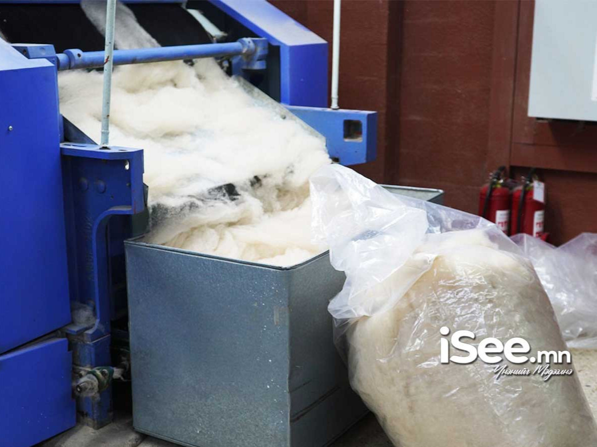 Улсын хэмжээнд ноолуурын үнэ кг тутамдаа 165-207 мянган төгрөгийн хооронд хэлбэлзэж байна