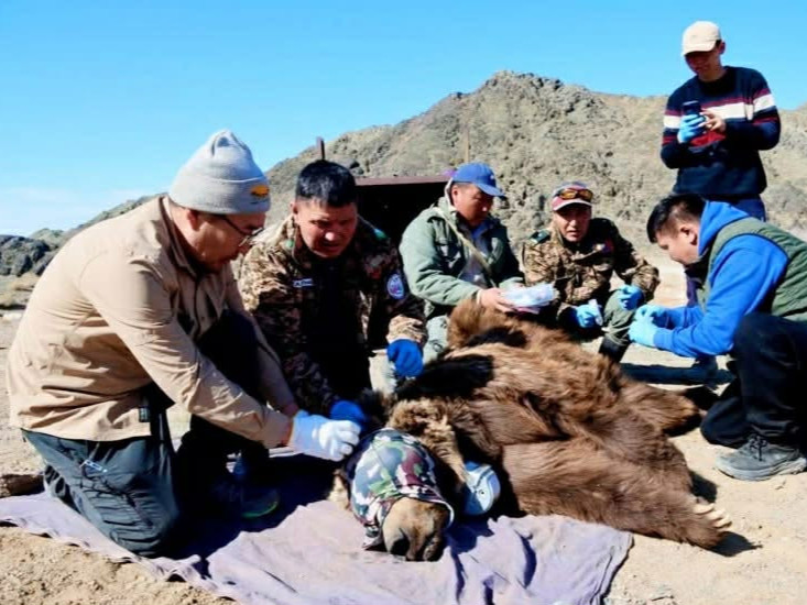 Мазаалайд сансрын дохиолол бүхий хүзүүвч зүүлээ