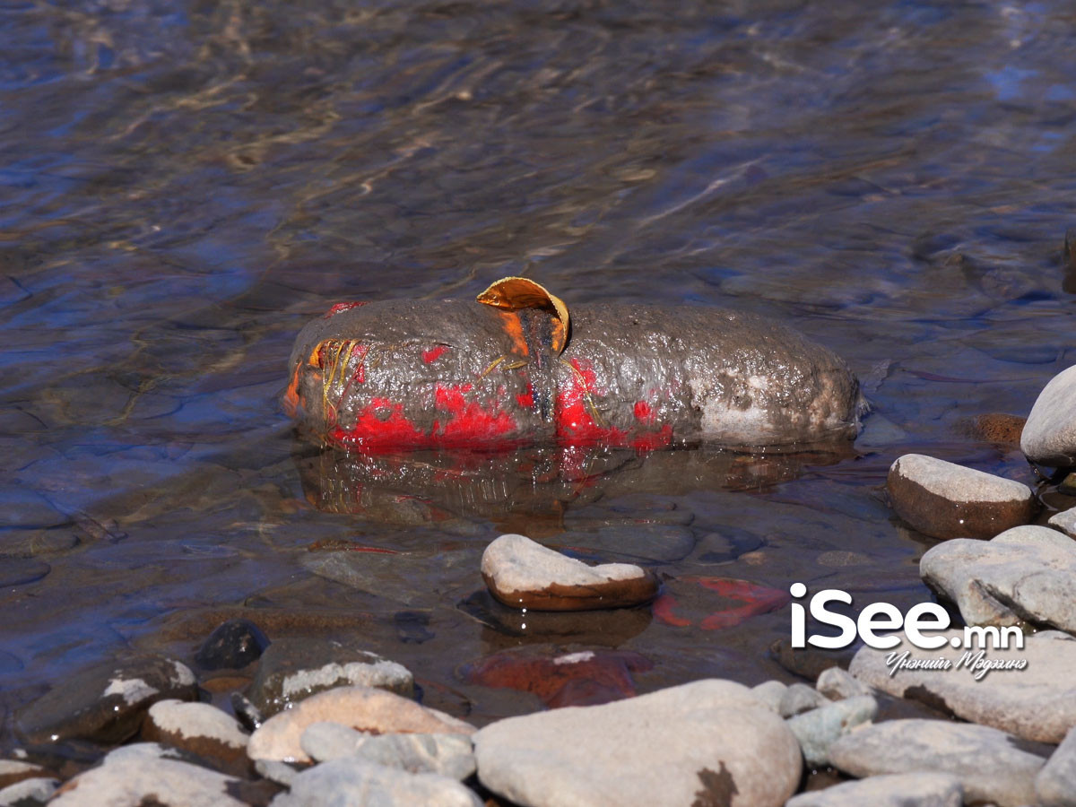 СУРВАЛЖИЛГА: Туул голд “Шүгдэн”-гийн бумба гэх зүйлийг олноор нь өргөж, голын ай савыг бохирдуулсаар байна