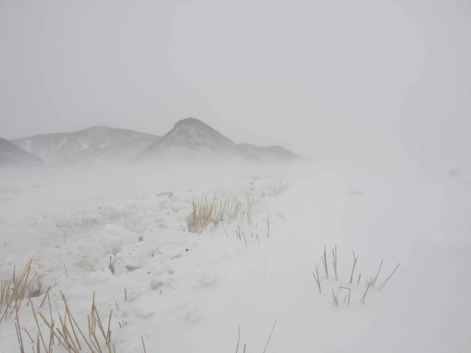 9:00 цагийн байдлаар 7 аймагт цас орж, цасан шуурга шуурч байгаа бол 6 аймагт шороон шуургатай байна