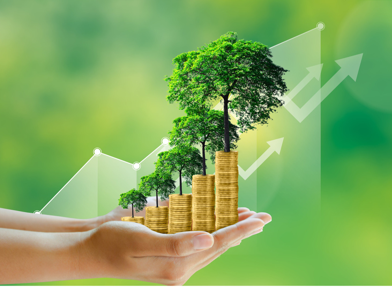 Ногоон хадгаламжийн сертификат