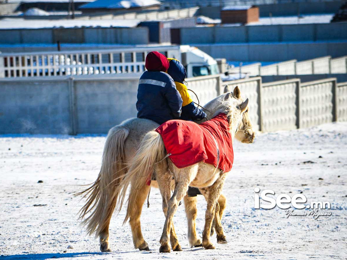 “Дүнжингарав” хаврын уралдааны түрүү хүлгийг 20 сая төгрөгөөр байлна