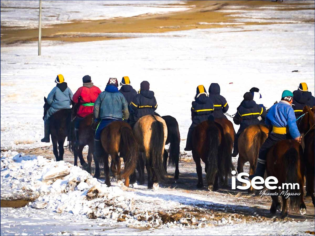 Шүдлэн насны адууны сэрвээний өндөр 133 см, Даага насны адууны сэрвээний өндөр 128 см болгон шинэчилж баталлаа