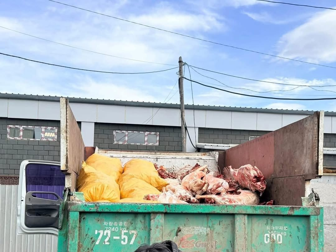 Хог тээврийн машинд ачиж явсан махыг олж, устгалд оруулжээ