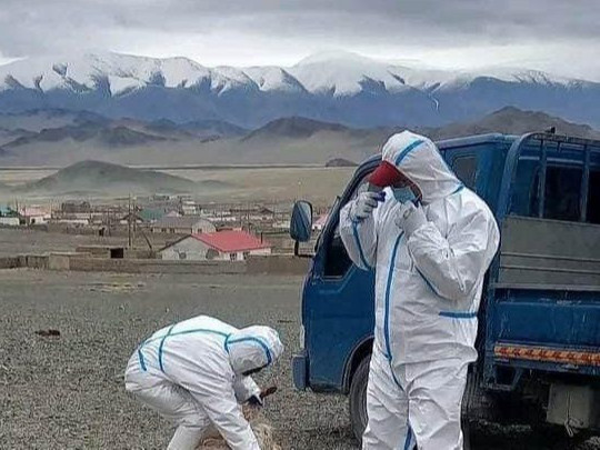 Баян-Өлгий аймгийн Алтай, Өлгий суманд тогтоосон өндөржүүлсэн бэлэн байдлыг чангатгалаа