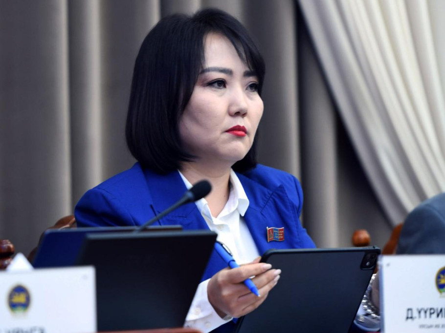 Д.Үүрийнтуяа: Ашигт малтмалын хуулийн нэмэлт, өөрчлөлтөд тоос болж байгаа эрдсээс нь хүртэл АМНАТ авдаг дэлхийн хаана ч байхгүй жишгийг засах өөрчлөлт алга