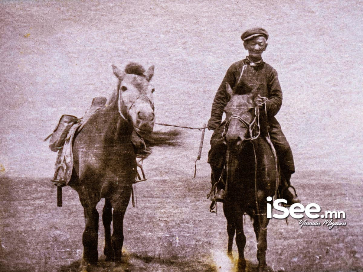 СУРВАЛЖИЛГА: "Хулгар хүрэн" азаргаа аргагүй эрхэнд агтад өгсөн ч, 3 жилийн дараа Вьетнамаас гүйгээд ирж байлаа