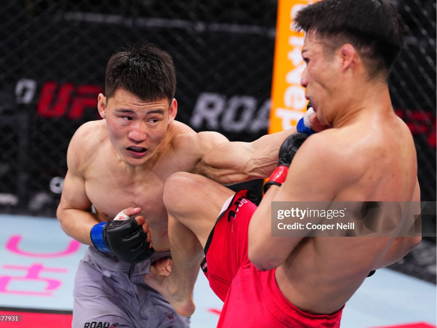 Б.Намсрай "UFC Fight Night" өдөрлөгийн үеэр Бразилын тулаанч Андре Лиматай тулалдана