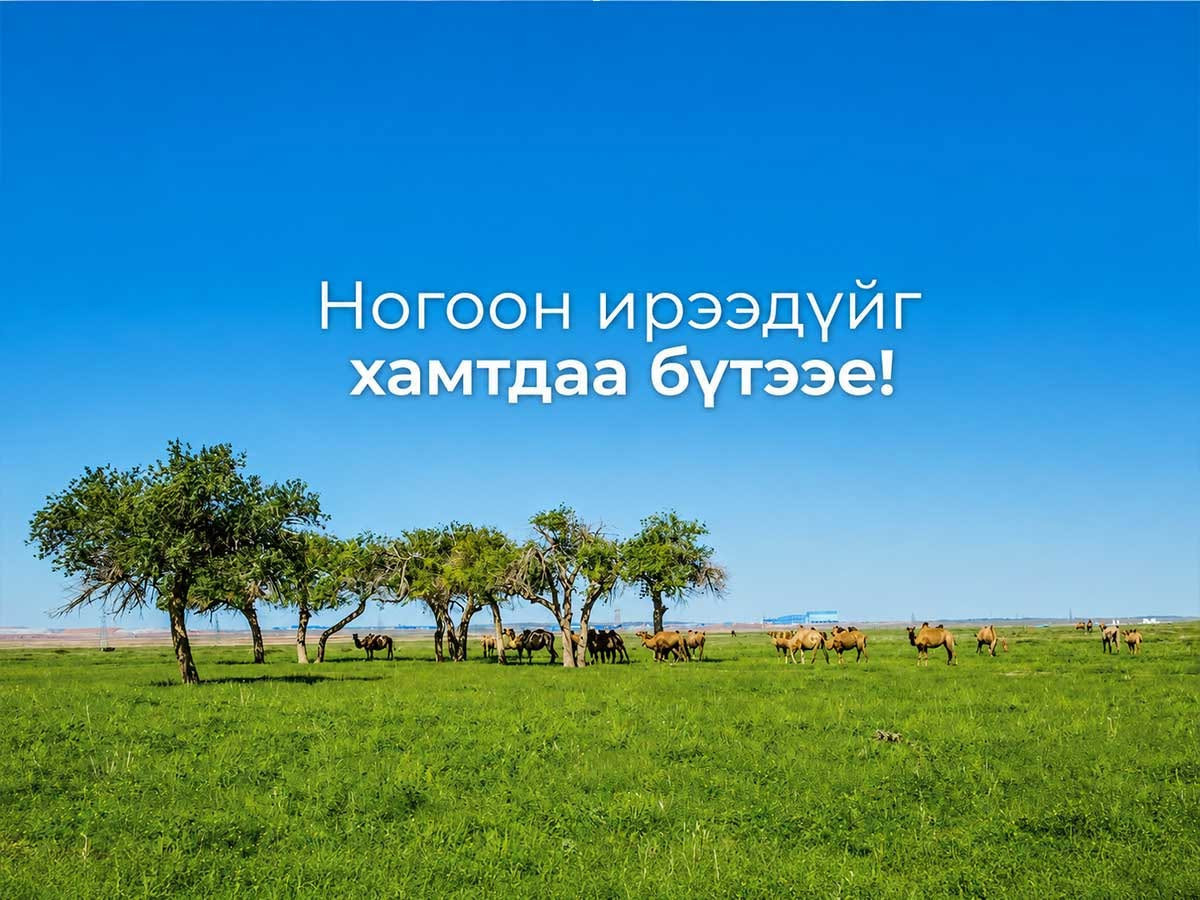 COP17 ба Оюу толгойн тогтоож буй сайн жишиг