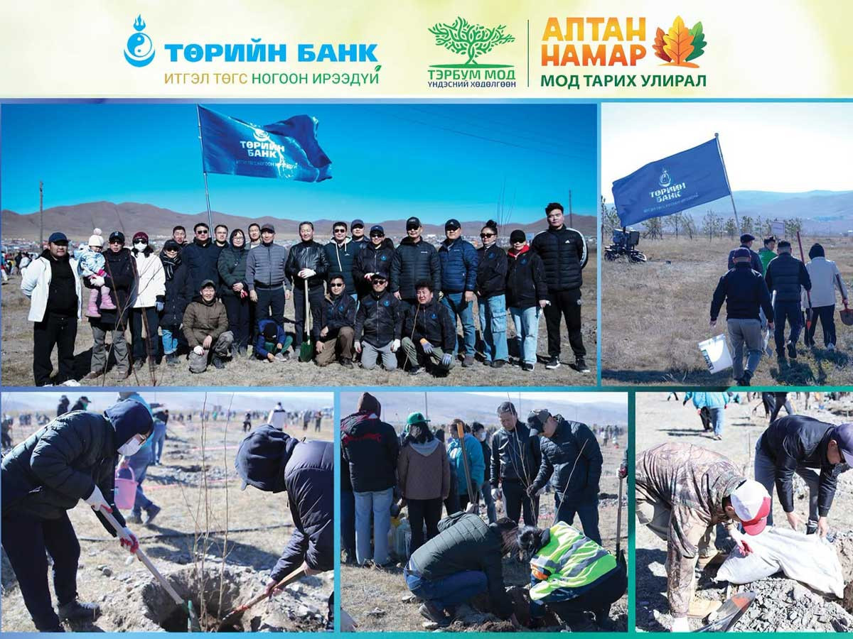 Төрийн банк: “Модыг мод болгоё – Амжилтаа бататгая, ажилтан бүр нэг мод” аяны хүрээнд намрын мод тарилтаа хийлээ