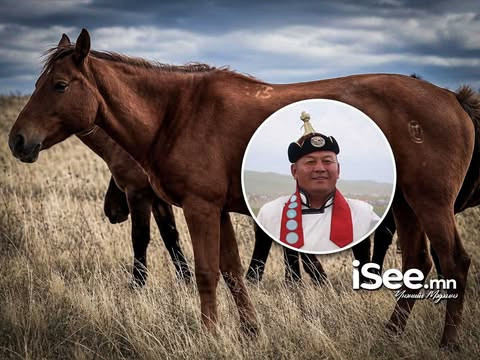 "Магнай" хээр азарганы төлөө 170 саяд арилжсан ААУ Д.Ариуннаран Улсын наадамд айрагдсан "Буган" морины эхийг 200 саяар авлаа