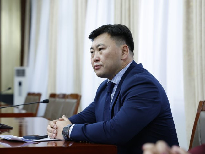 УИХ дахь Ардчилсан намын бүлгийн ажлын албаны даргаар Б.Төрмөнхийг томиллоо