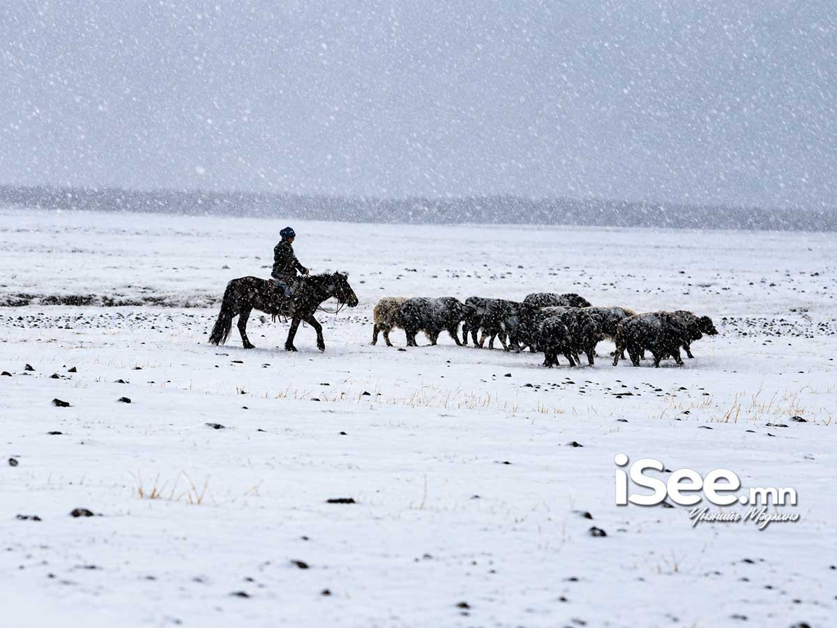 СЭРЭМЖЛҮҮЛЭГ: Увс аймагт малаа хайж яваад сураггүй болсон малчныг эрэн хайж байна