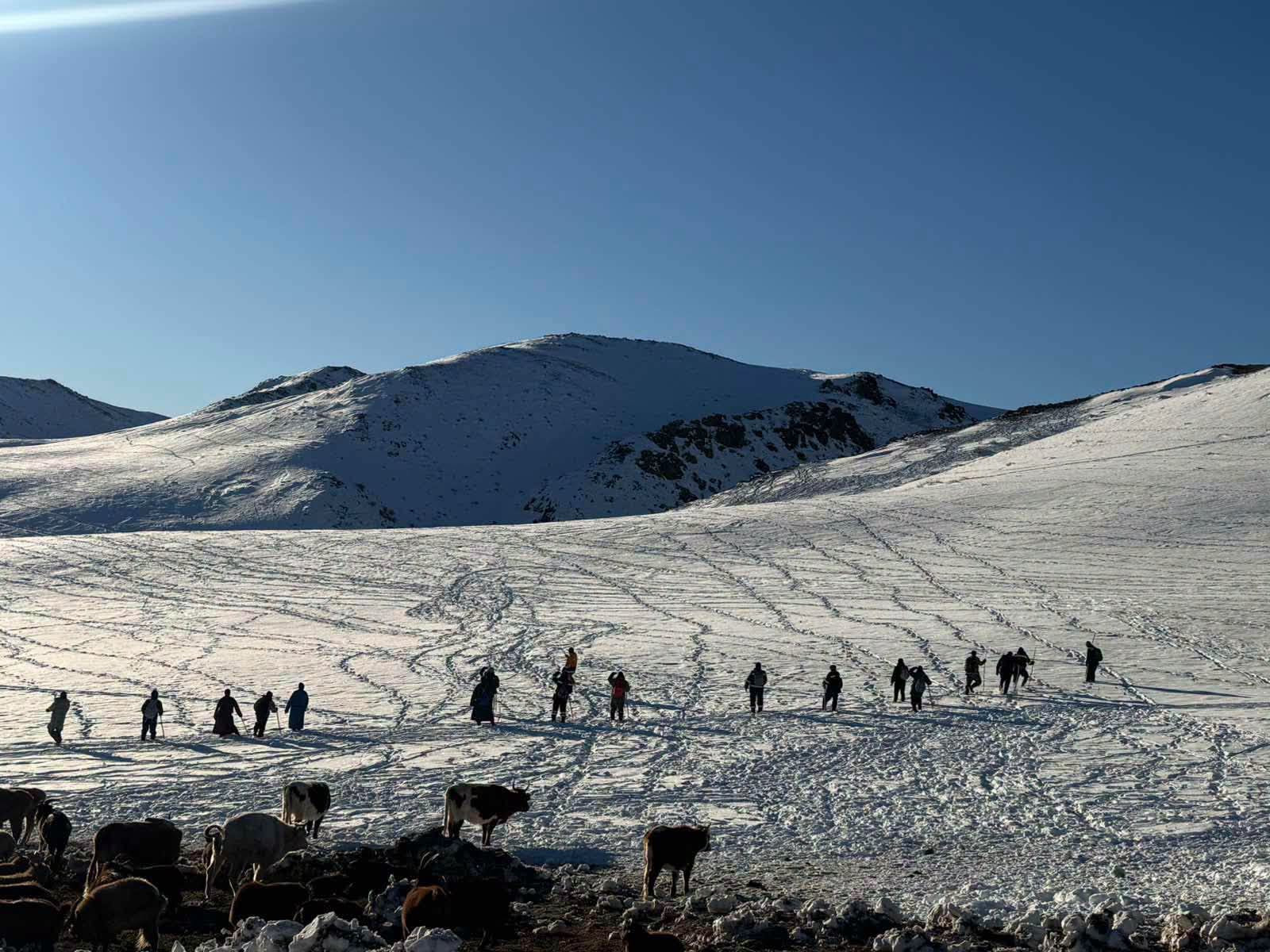 Увс аймагт сураггүй болсон эмэгтэйг 15 дахь өдрөө эрэн хайж байна