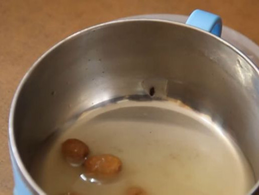 Сургуулийн үдийн цайнаас хорхой гарчээ