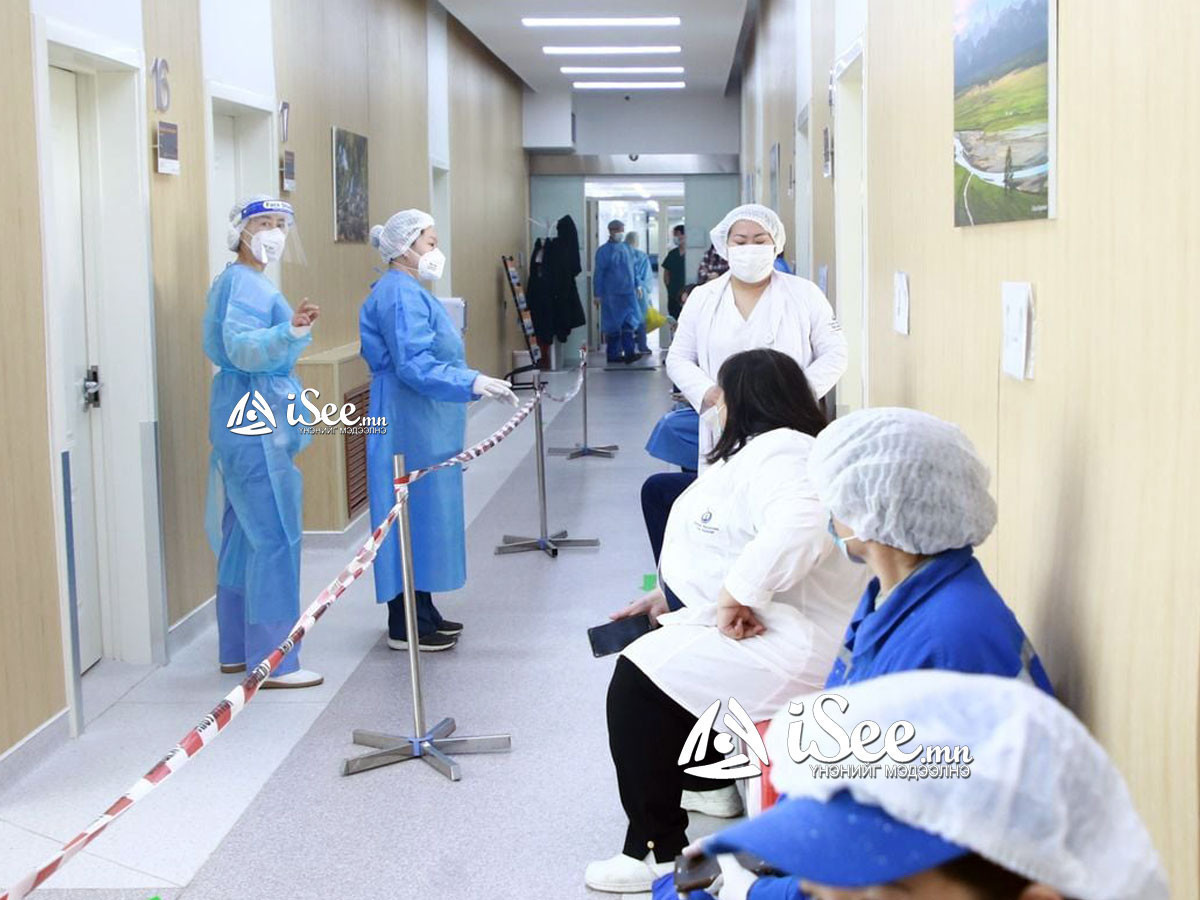 ЭМЯ: Улаанбаатарт 247, орон нутагт 82 тохиолдол батлагдаж таван хүн эндэв