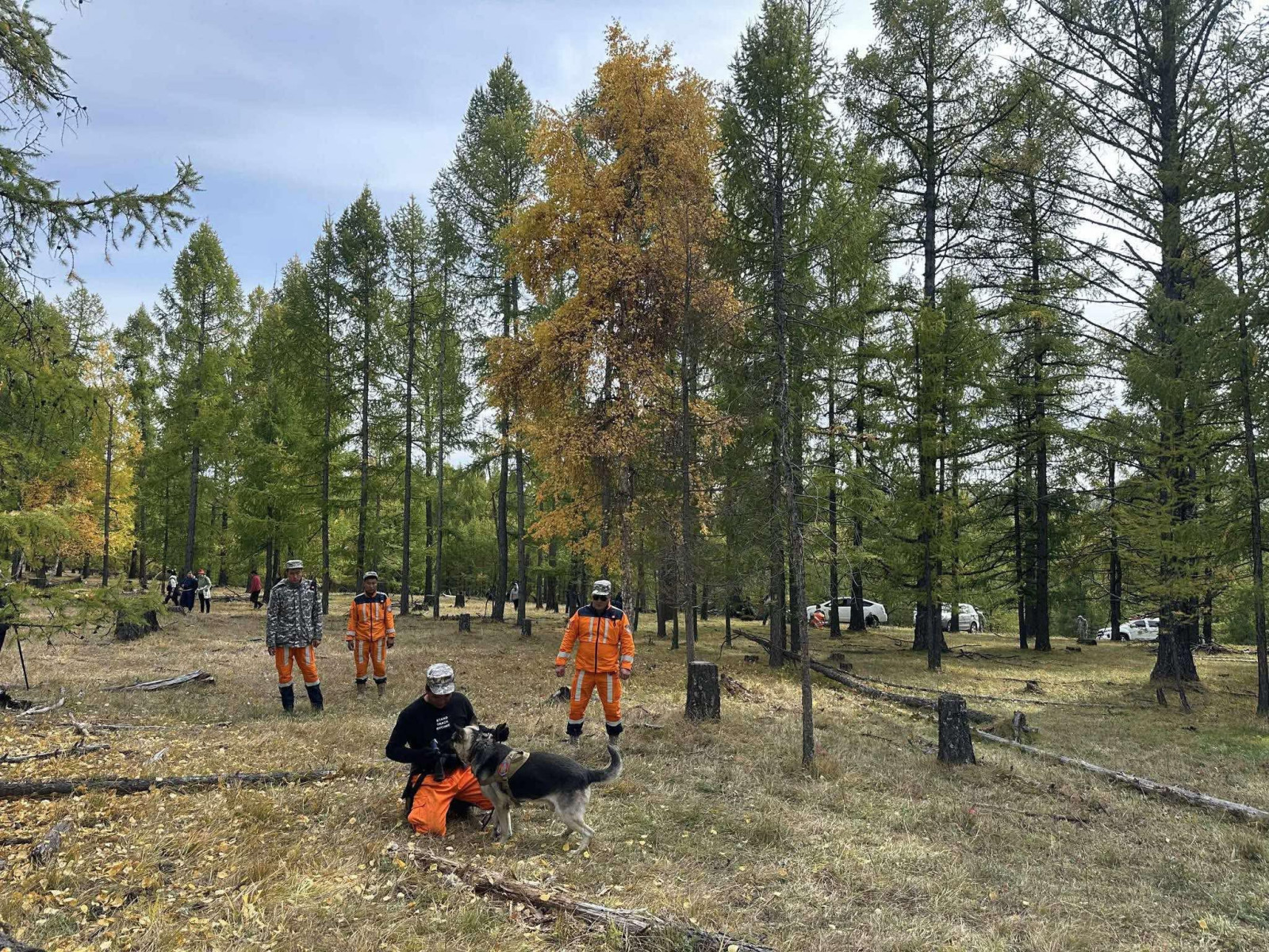 Сураггүй алга болсон хүүгийн цогсцыг олж, мөрдөн шалгах ажиллагааг эхлүүллээ