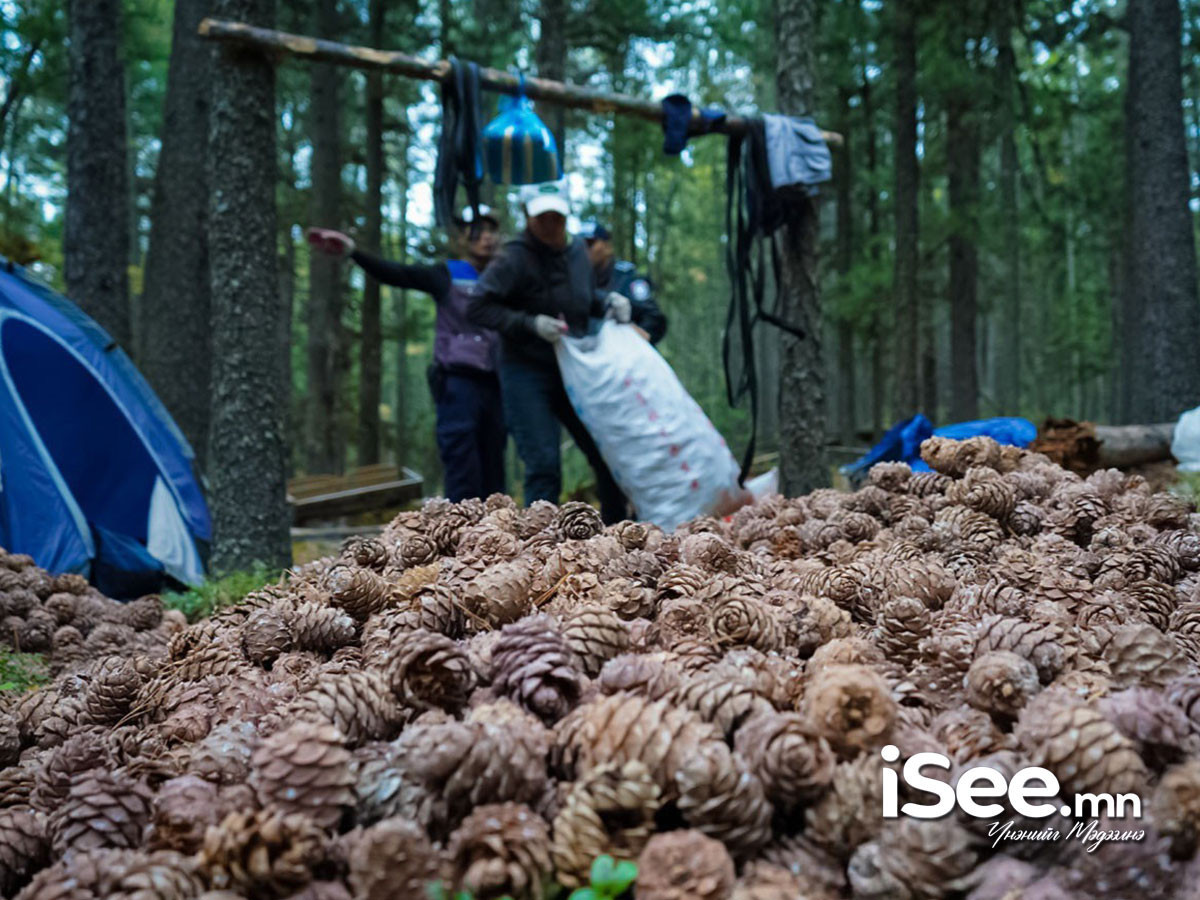 Хөвсгөл аймагт самарт яваад сураггүй болсон эмэгтэйг 18 дахь өдрөө эрэн хайж байна