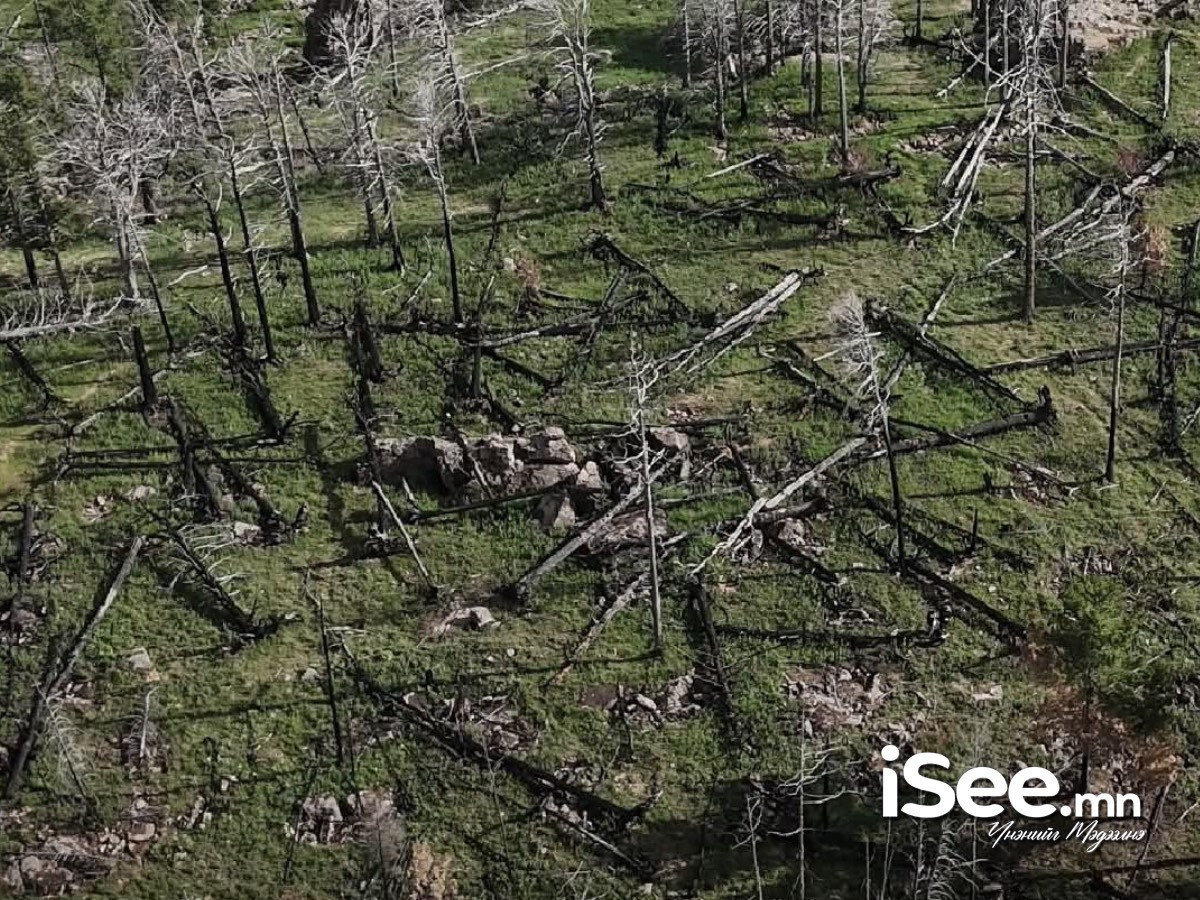 Иргэдийн хайхрамжгүй үйлдлээс болж, Богд ууланд гал алдсан байсныг унтраажээ