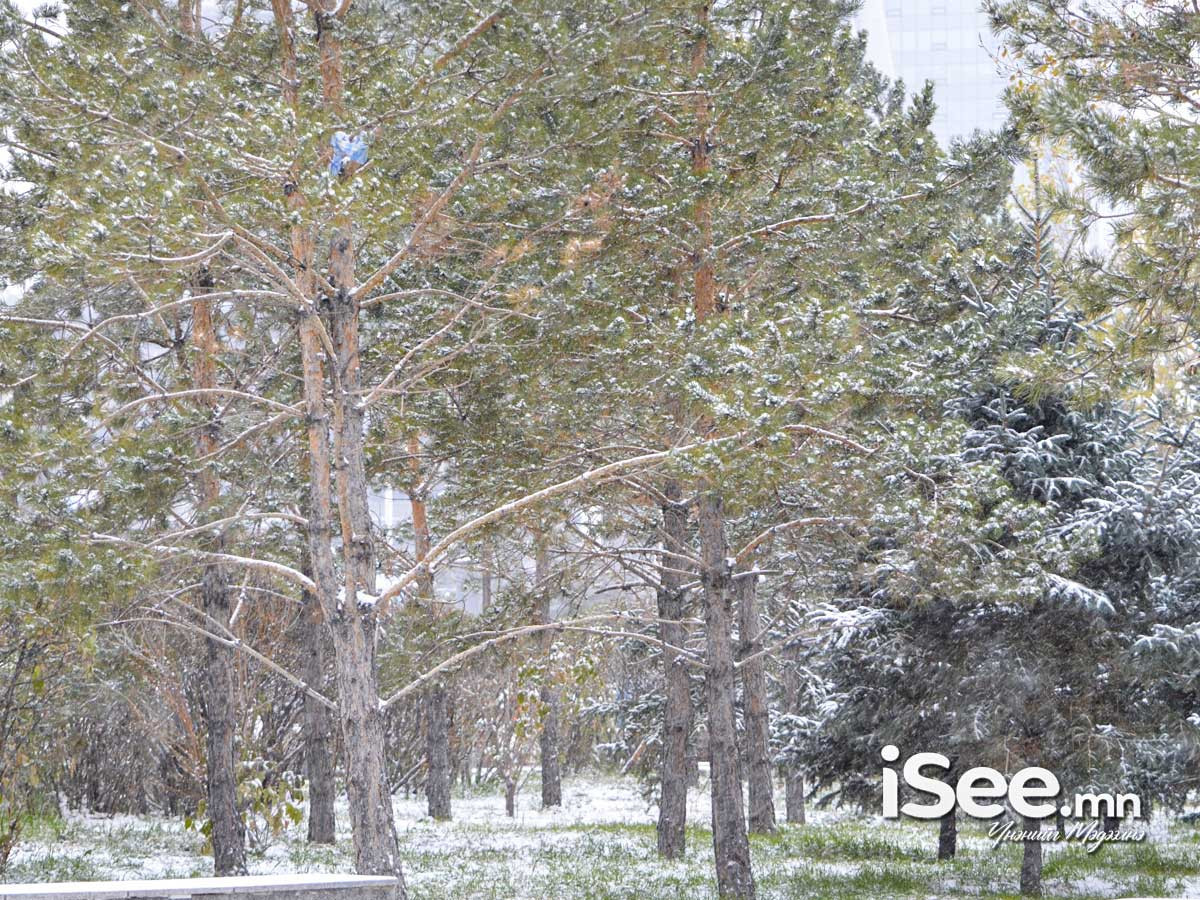 Төөрсөн, сураггүй болсон 15 иргэнийг эсэн мэнд олжээ 