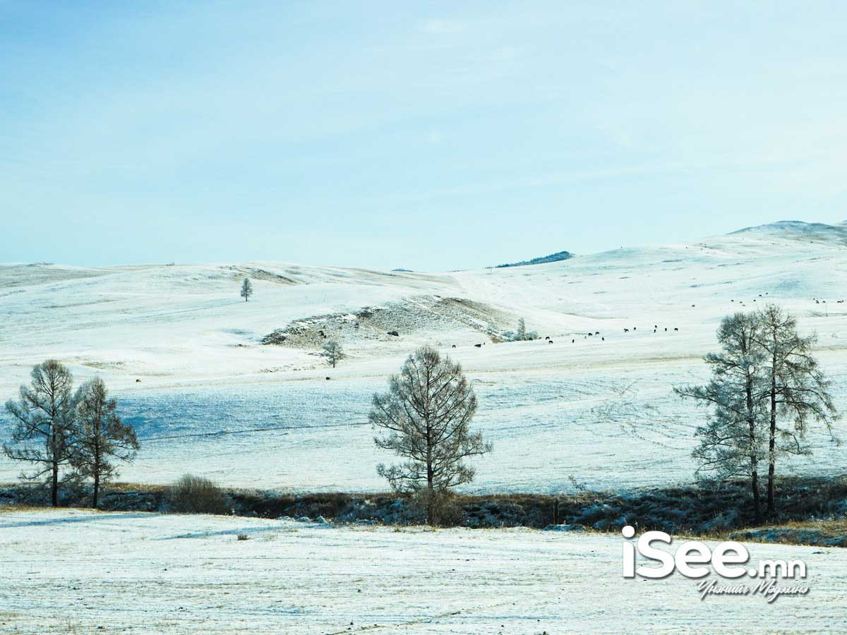 Төвийн аймгуудын ихэнх нутаг, зүүн аймгуудын нутгийн хойд хэсгээр 20 см цасан бүрхүүл тогтжээ