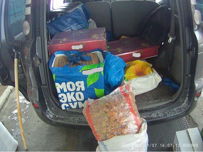 Монгол иргэд хагас тонн орчим хатаасан жимс хууль бусаар хил нэвтрүүлэх гэж байсныг илрүүлсэн гэжээ