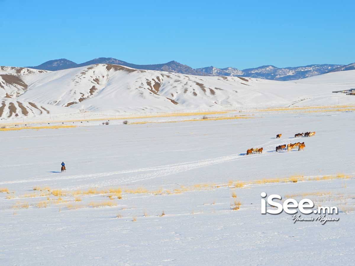 Ням гарагаас ихэнх нутгаар хүйтний эрч чангарна