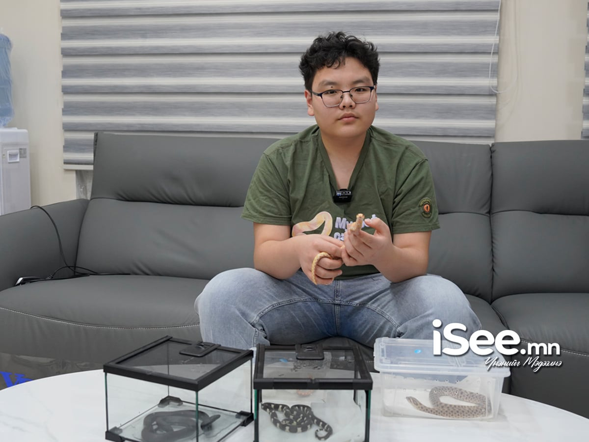 Э.Тамир: Аав маань матар, аалз зэрэг олон амьтан тэжээдэг байсан болохоор багаасаа амьтанд хайртай болсон. Одоо надад 16 могой байгаа